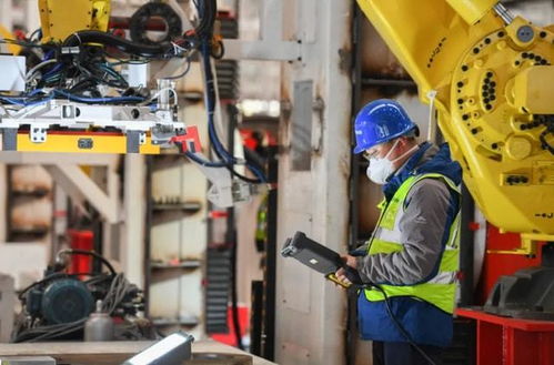 專科畢業(yè)生的職業(yè)流向 數(shù)據(jù)揭示主流去向，過來人分享真實(shí)體會