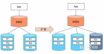 深入理解MySQL表設(shè)計規(guī)范與數(shù)據(jù)處理服務(wù)的關(guān)鍵關(guān)聯(lián)