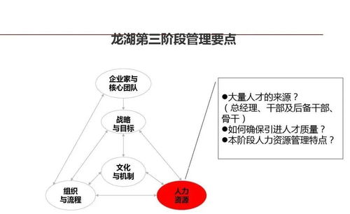 龍湖企業(yè)管理與運營精細化管理的信息咨詢服務(wù)
